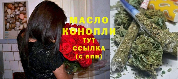 стаф Инта
