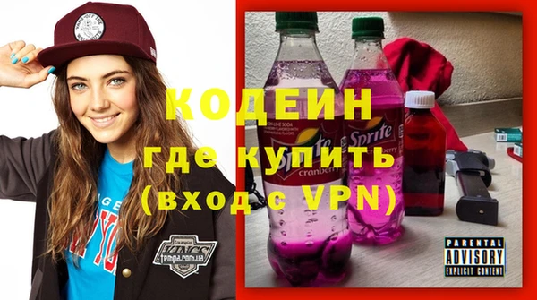 стаф Инта