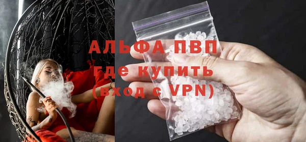 стаф Инта