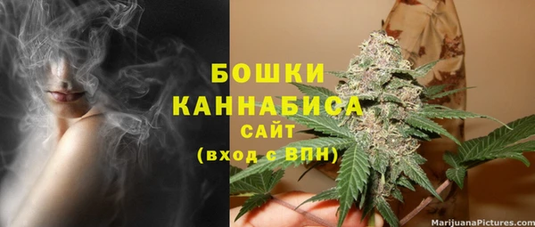 стаф Инта