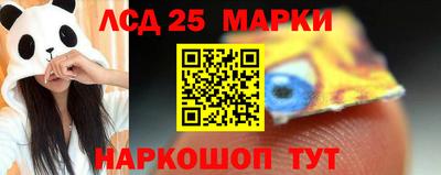 PSILOCYBIN Гатчина