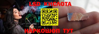 PSILOCYBIN Гатчина