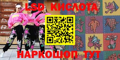 PSILOCYBIN Гатчина