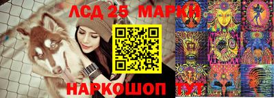 PSILOCYBIN Гатчина