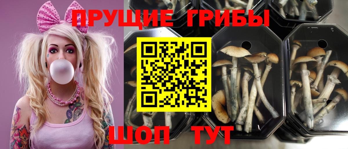 Когалым  Галлюциногенные грибы Magic Shrooms  Вход с VPN  Галлюциногенные грибы прущие грибы 