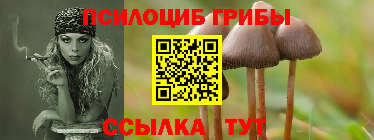 Псилоцибиновые грибы GOLDEN TEACHER Когалым