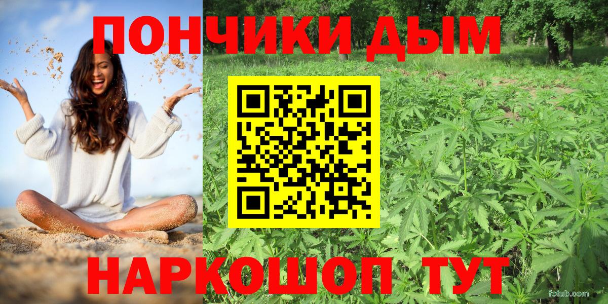Каннабис планчик Когалым